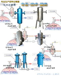 bjspv高效二次分離汽水分離器