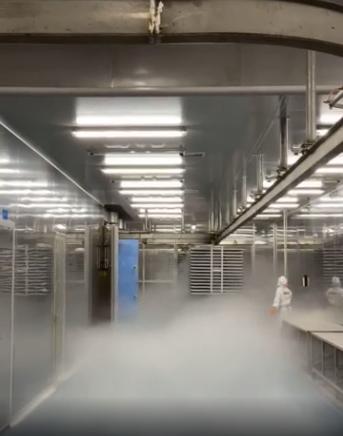 探廠國內(nèi)寵物食品凍干廠 國產(chǎn)凍干品質(zhì)如何，L-羥脯氨酸生產(chǎn)的關鍵作用