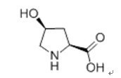 L-羥脯氨酸 來源、性質(zhì)與應用